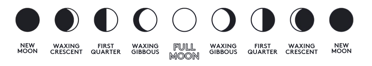 Black and white illustrative graphic of the full moon lunar phases